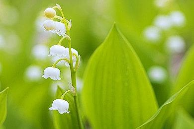 《Hollow Cocoon》登陆Steam 和风第一人称3D恐怖冒险